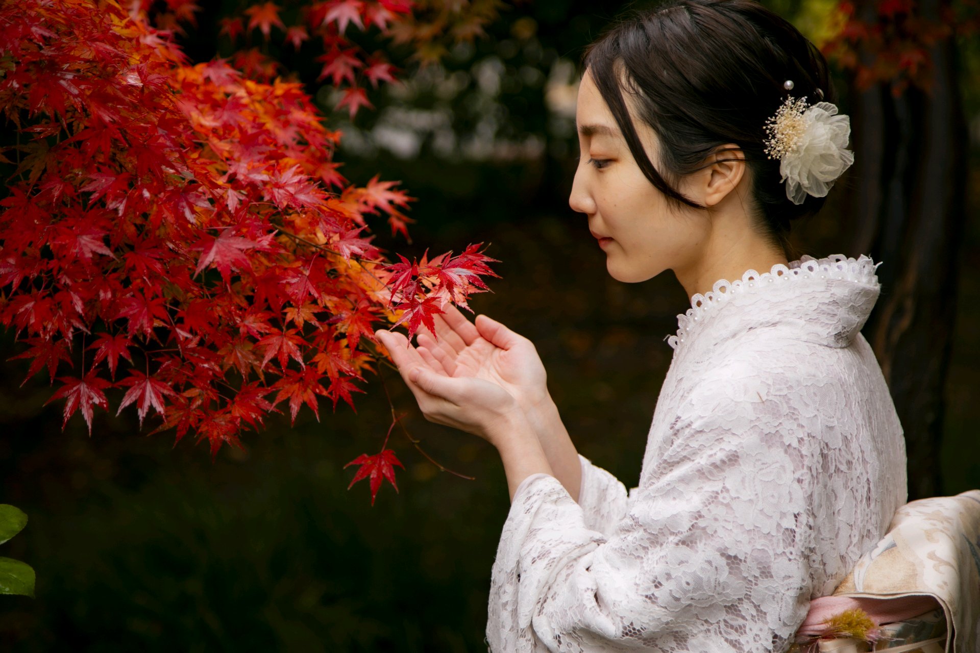 紅葉に手を伸ばす着物姿