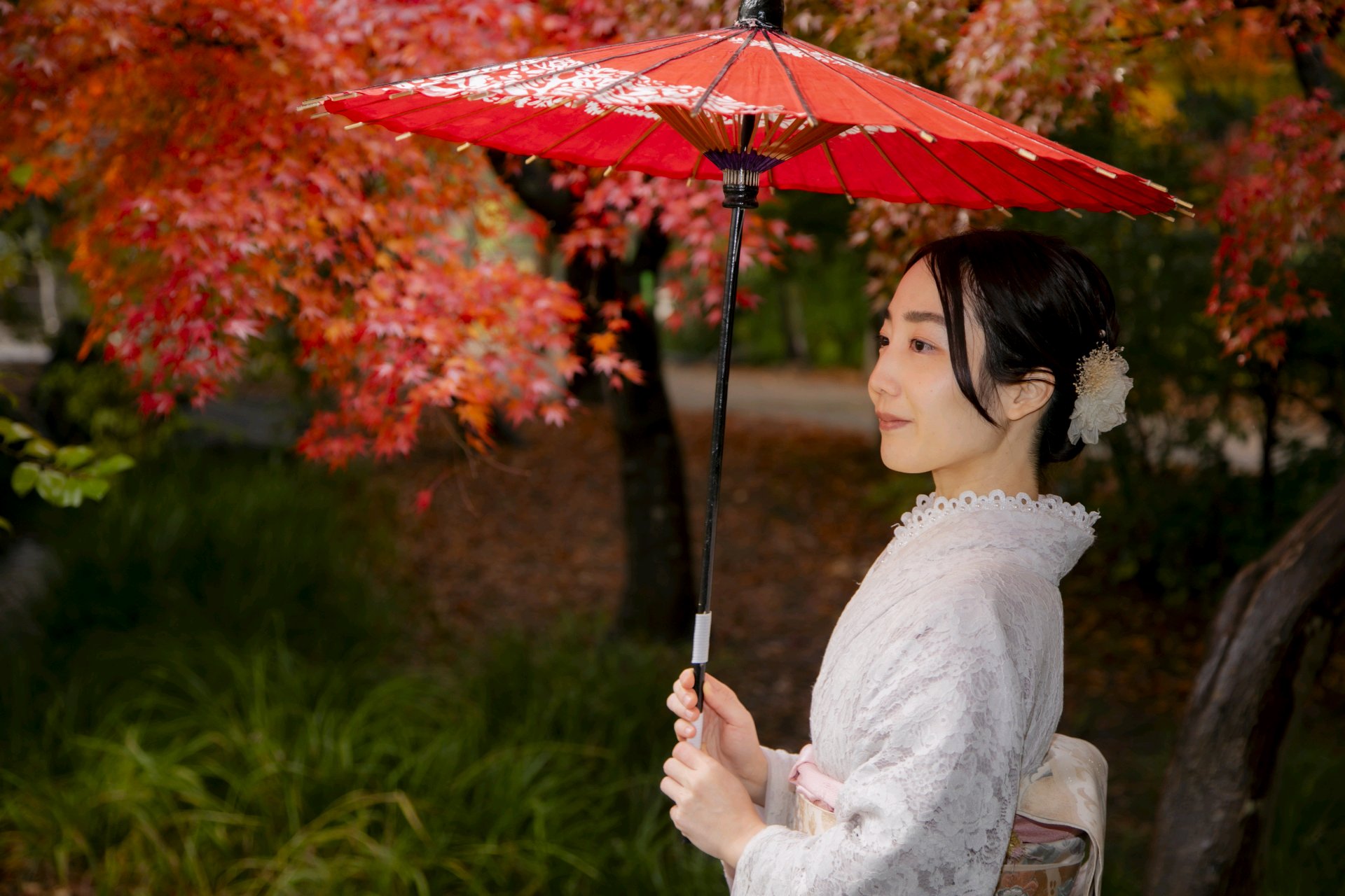 京都の四季
